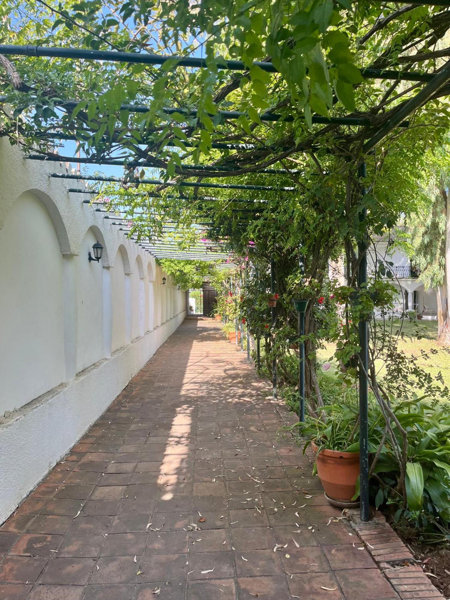 René Apartemen Marbella